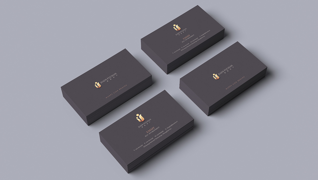 家恩妇产LOGO设计案例