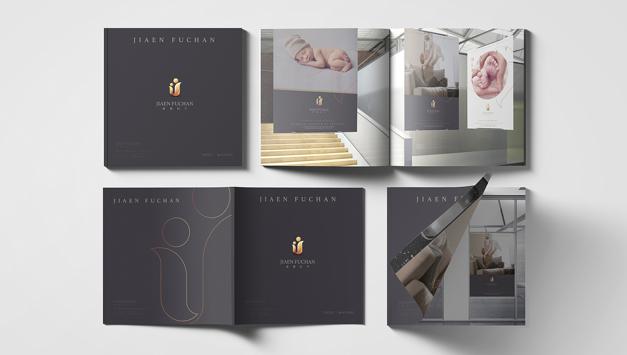 家恩妇产LOGO设计案例