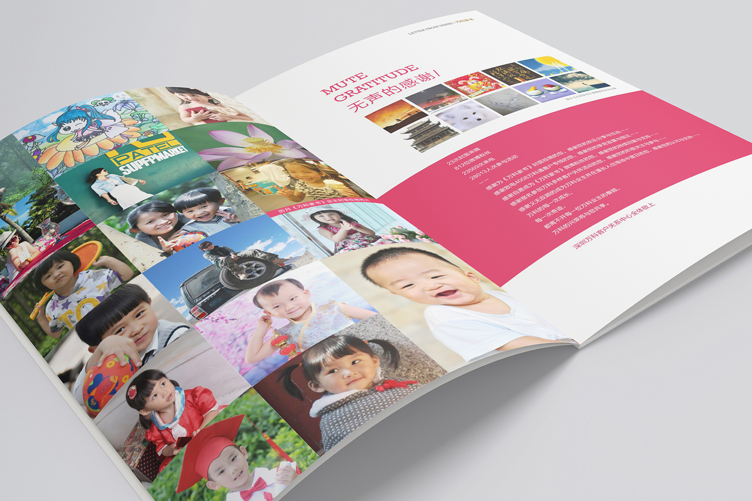 万科集团画册设计案例